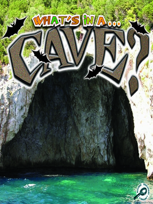 cover image of Cave